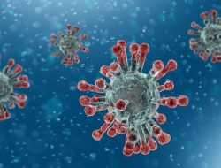 Guru Besar UGM Yang Positif Virus Corona Meninggal Dunia