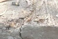 Bagaimana Kabar Rabat Beton Yang Retak, Kegiatan DD Di Desa Buker Jrengik