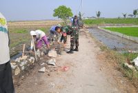 Kodim 0604 /Karawang Gelar BSMSS Tahun 2023 Di Desa Segarjaya Kecamatan Batujaya, Dengan Sasaran Fisik Dan Non Fisik