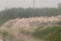 Kali Bekasi Tercemar, Apakabar Pemkab Bekasi?!!