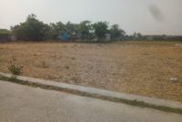 KELUH KESAH PARA PETANI DI TARUMAJAYA  DAMPAK MUSIM KEMARAU BERKEPANJANGAN