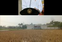 KAWAL DAN AWASI PROGRAM BLT EL NINO DAMPAK DARI KEMARAU PANJANG YANG AKAN SEGERA DI LUNCURKAN SUDAH TEPAT SASARAN.