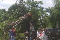*Akibat Pohon Tumbang,Jalan Kelurahan Teluk Pucung Terjadi Kemacetan Panjang*