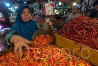 Kemendag Sebut Harga Beras dan Cabai Turun, Daging Ayam dan Telur Stabil Tinggi
