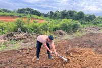 Polsek Tabang Mendukung Program Asta Cita, Monitoring Lahan Jagung dan Bantu Petani