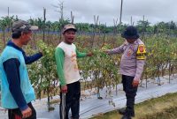 Bhabinkamtibmas Polsek Sebulu Dukung Ketahanan Pangan Lewat Pendampingan Petani
