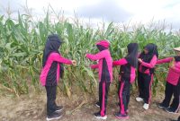 Polsek Anggana Gelar Panen Raya Jagung Bersama Petani di Handil Terusan