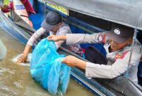 Dukung Kelestarian Ekosistem, Polsek Kota Bangun Hadiri Penebaran 34.000 Bibit Ikan Gabus di Perairan Umum