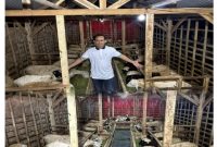 BUMDes Surya Mandiri Desa Kalangsurya Karawang Berhasil Tingkatkan Ketahanan Pangan Lewat Pemeliharaan Kambing dan Ayam Kampung