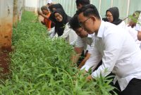Rutan Jakarta Pusat Salurkan Hasil Panen Kangkung Kepada Masyarakat