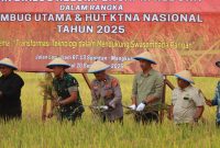 Polres Kukar Ikut Panen Raya Padi Sawah Bersama Peserta RUN & HUT KTNA 2025