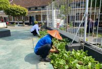 Lahan Terbatas Bukan Halangan, Rutan Surakarta Buktikan Dukungan pada Program Ketahanan Pangan