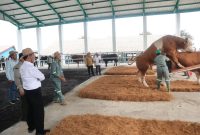 Dari Limbah Sabut Kelapa ke Alas Kandang Higienis, Kolaborasi Lapas Tulungagung dan Balai Besar Inseminasi Buatan (BBIB) Singosari Mendorong Kemandirian