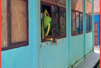 Murid Masuk Kelas Lewat Jendela, Ini Penjelasan Kepala Sekolah SMP Muhammadiyah 03 Triyoso