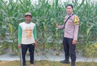 Bhabinkamtibmas Desa Sangulan Beri Semangat Petani Jaga Ketahanan Pangan