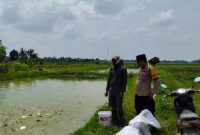 Dukung Ketahanan Pangan, Bhabinkamtibmas Polsek Buay Madang Timur Tinjau Kolam Budidaya Ikan Milik Warga