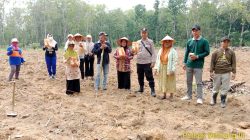 Bhabinkamtibmas Polsek Belitang III Laksanakan  Pendampingan penanaman Jagung 1 desa 1 hektar