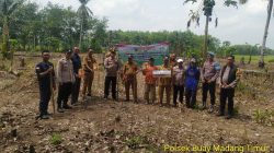 Polsek Buay Madang Timur Dukung Ketahanan Pangan Lewat Program “1 Desa 1 Hektar Jagung” di Desa Tanjung Sari