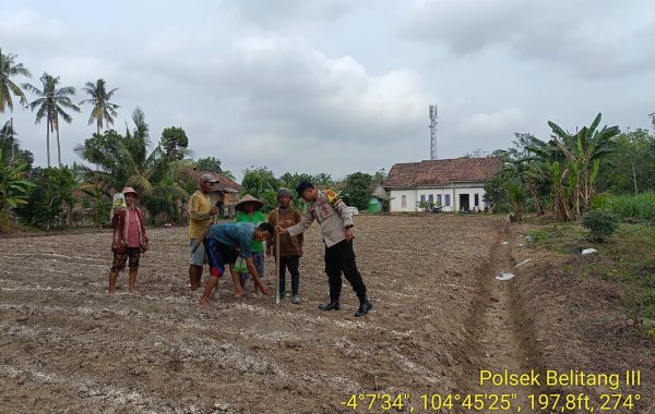 Polsek Belitang III Tanam Jagung di Desa Nusa Jaya Dukung Program Ketahanan Pangan Nasional