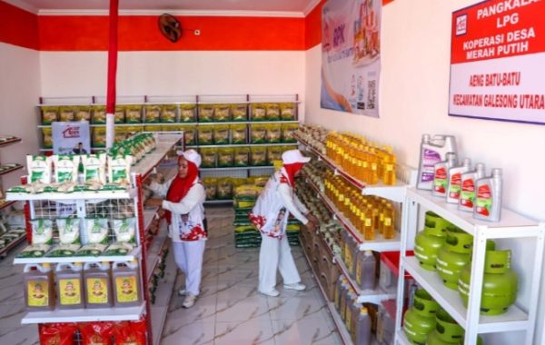 Prabowo Dorong Desa Jadi Mesin Ekonomi, Anak Muda Jadi Pemain Kunci