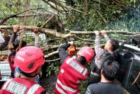 Pohon Tumbang Timpa Mobil Warga di Balikpapan Permai, Brimob Polda Kaltim Lakukan Penanganan Cepat